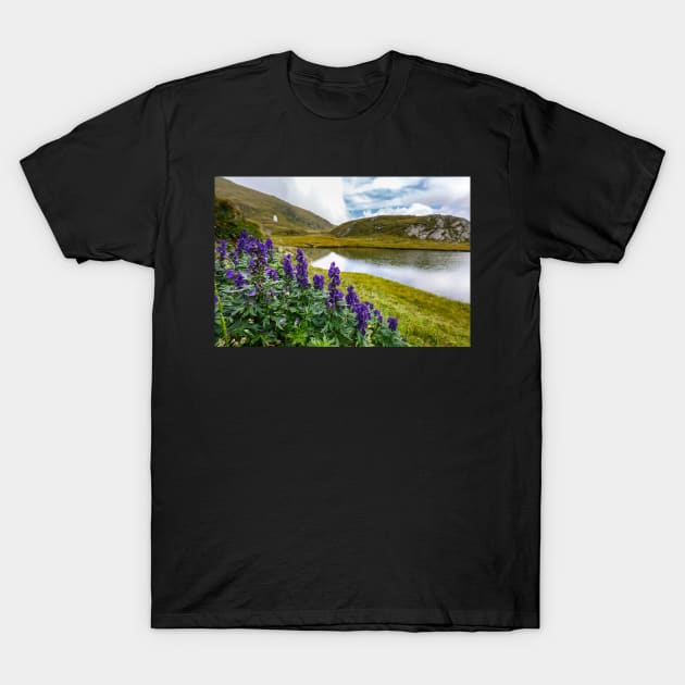 Mountain flowers by a glacial lake T-Shirt by naturalis